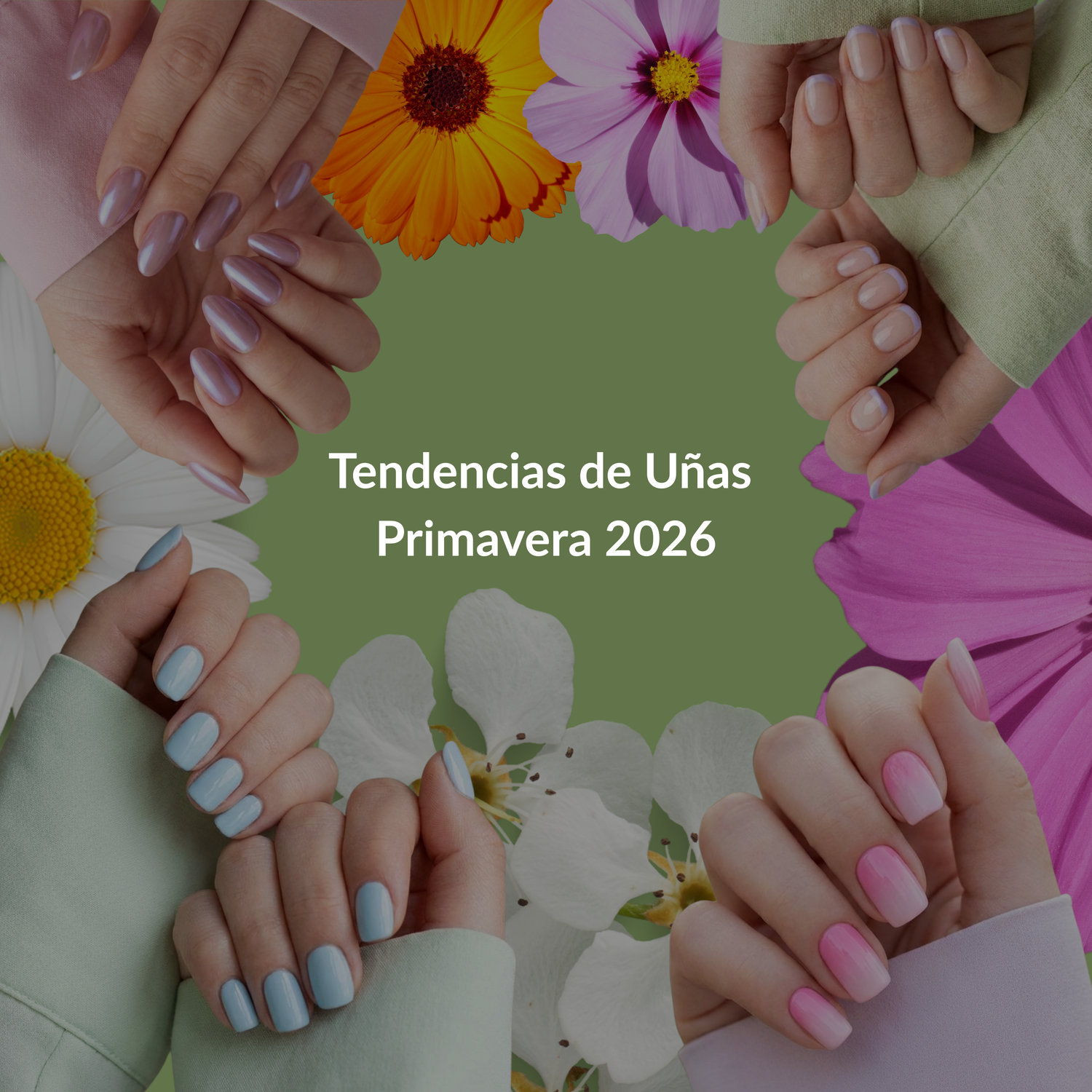 Tendencias de Uñas Primavera 2026: Los Diseños y Colores que Más se Están Pidiendo en Salones 💅🌸